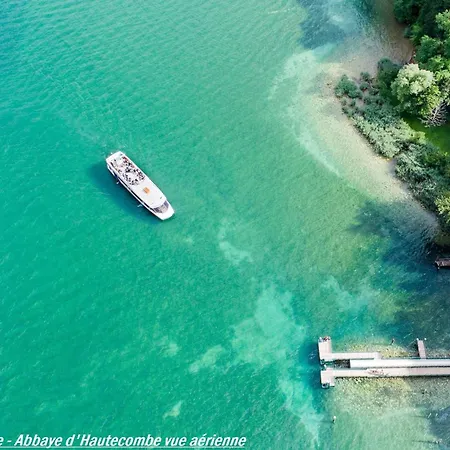 Appartement T2 Lumineux En Centre-ville Avec Balcon Et Animaux Admis - Fr-1-555-48 *