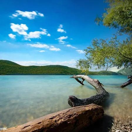 Appartement T2 Lumineux En Centre-ville Avec Balcon Et Animaux Admis - Fr-1-555-48